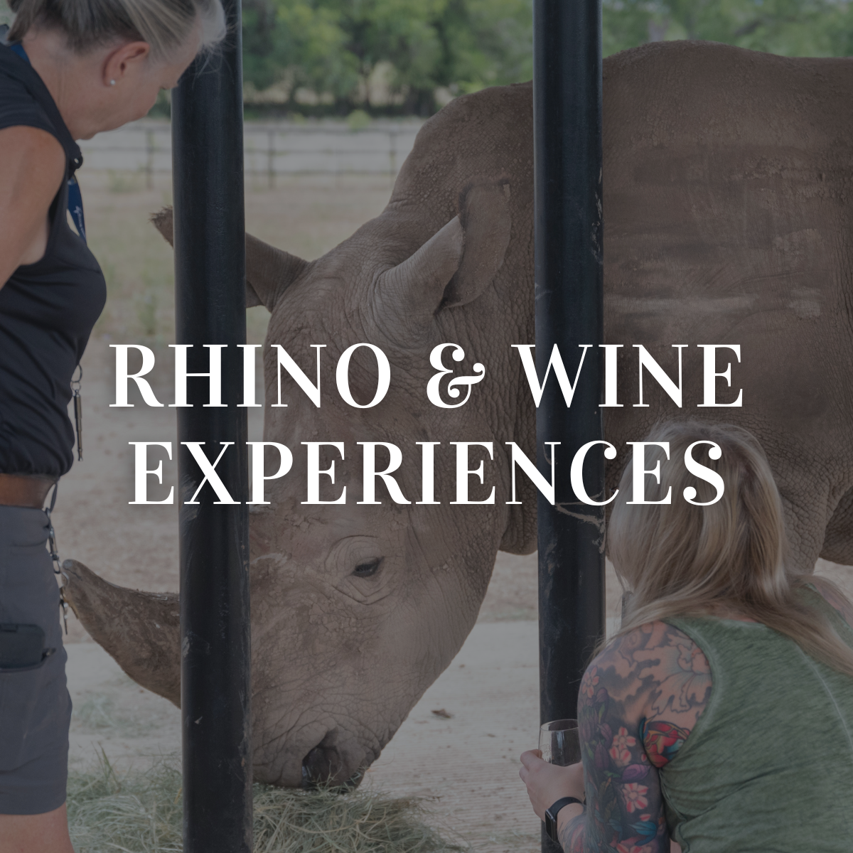 RHINO & WINE EXPERIENCE