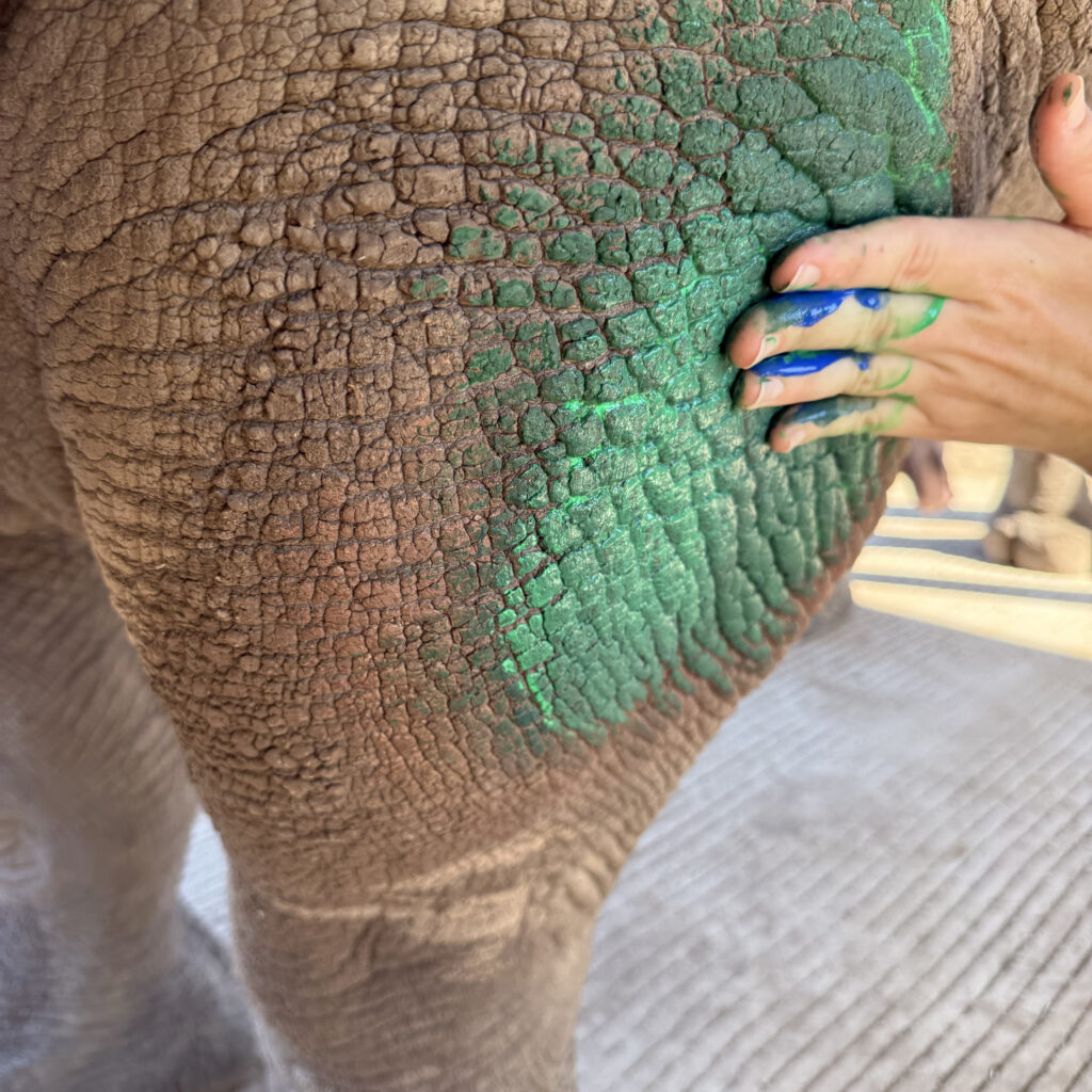 Blake coming in for the evening at Rhinory in Fredricksburg Texas