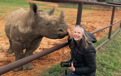 A Love Affair with Black Rhinos