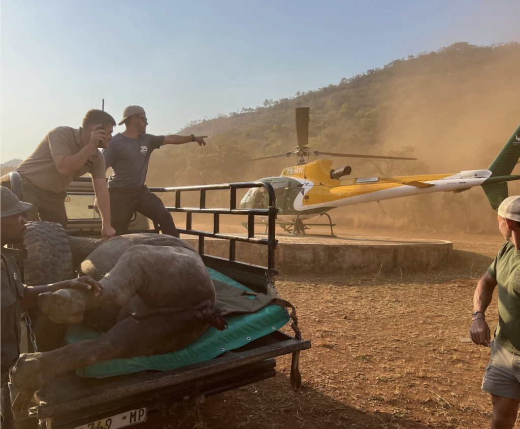 The Care for Wild rescue team