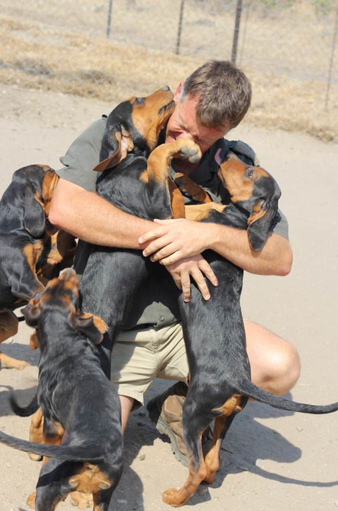 Johan van Straaten, IRF K9 master trainer