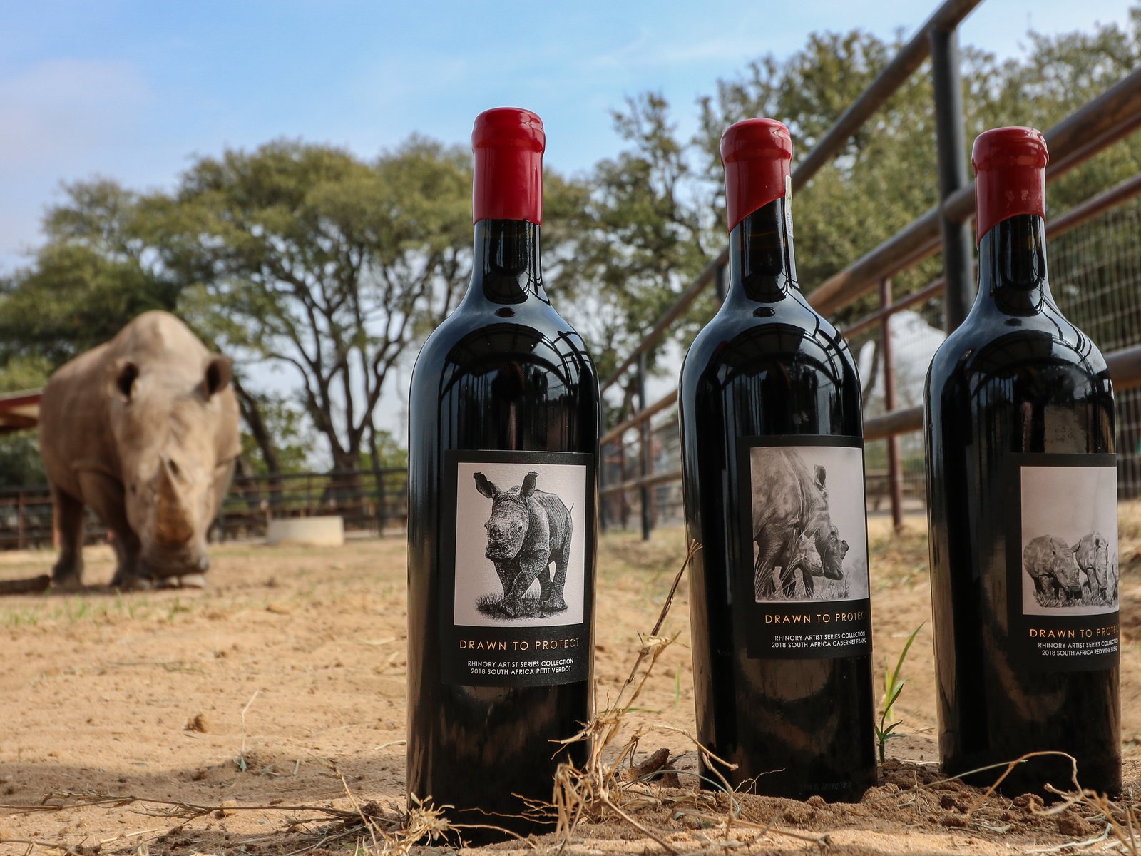 Three Drawn to Protect artist-series wines standing in the dirt at the Rhino Reserve, with Blake the rhino grazing behind them