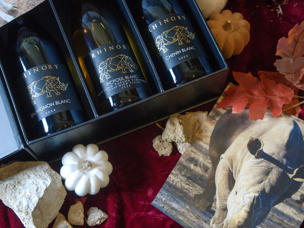 The Gentle Giant in a black Rhinory gift box